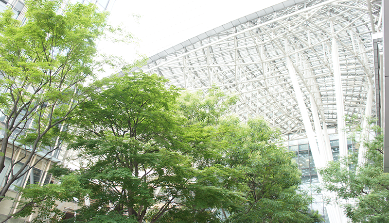 优胜客体育AppStore下载 孫ギャングの背教を離れて解放に入ることへのこの恐れは、太一から泉生へと伝わった